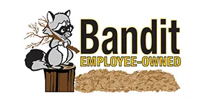 Bandit logo